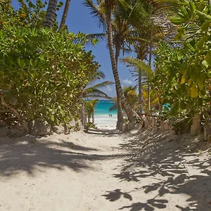 Hotel Dos Ceibas - Massage & Yoga Inclusive, Tulum