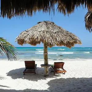 Zamas **** Tulum